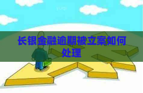 长银金融逾期被立案如何处理