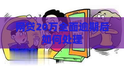 网贷20万全面逾期后如何处理