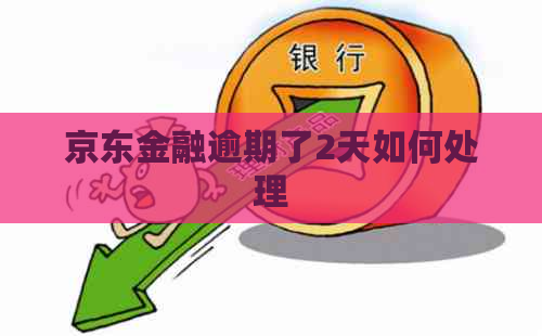 京东金融逾期了2天如何处理