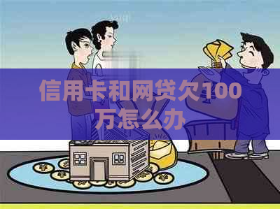 信用卡和网贷欠100万怎么办