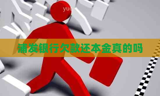 浦发银行欠款还本金真的吗