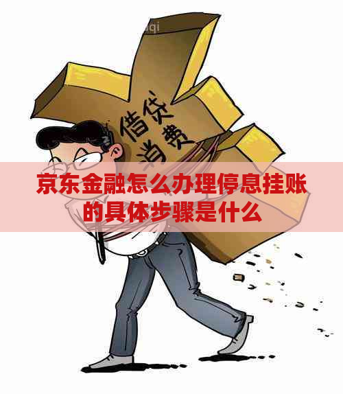 京东金融怎么办理停息挂账的具体步骤是什么