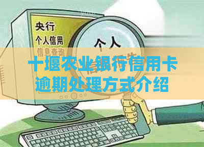 十堰农业银行信用卡逾期处理方式介绍