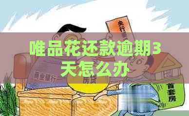 唯品花还款逾期3天怎么办