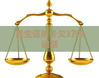 民生信用卡欠3万8逾期