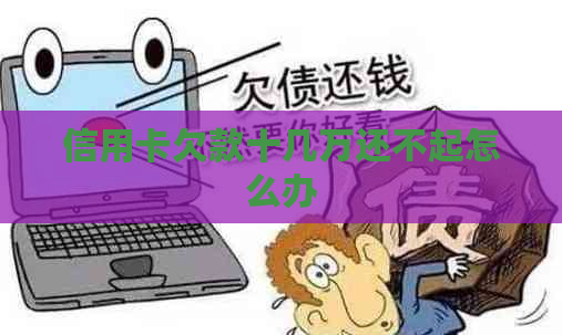 信用卡欠款十几万还不起怎么办