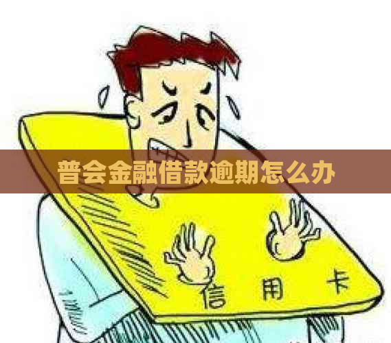 普会金融借款逾期怎么办