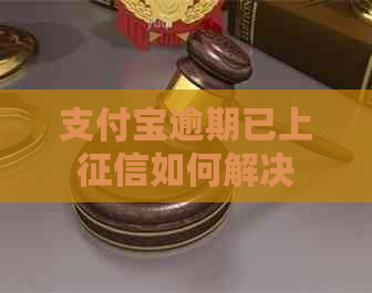 支付宝逾期已上如何解决