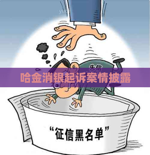 哈金消银起诉案情披露