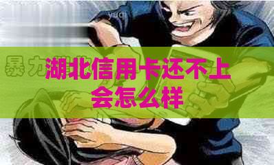 湖北信用卡还不上会怎么样