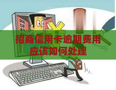 招商信用卡逾期费用应该如何处理