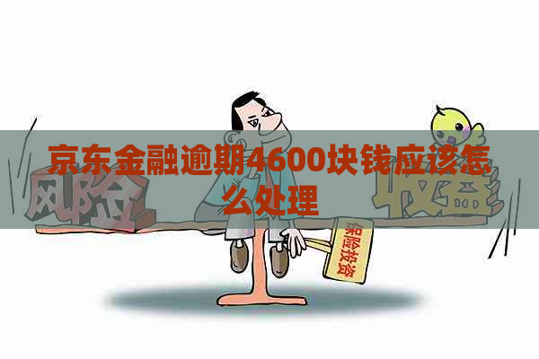 京东金融逾期4600块钱应该怎么处理