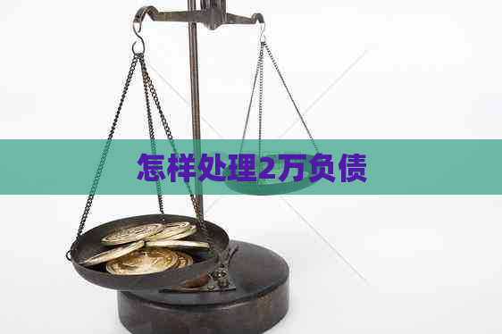 怎样处理2万负债