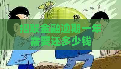 招联金融逾期一年需要还多少钱