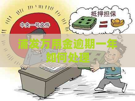 浦发万用金逾期一年如何处理