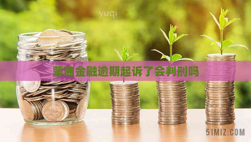 蒙商金融逾期起诉了会判刑吗