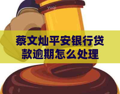 蔡文灿平安银行贷款逾期怎么处理