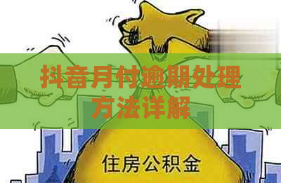 抖音月付逾期处理方法详解