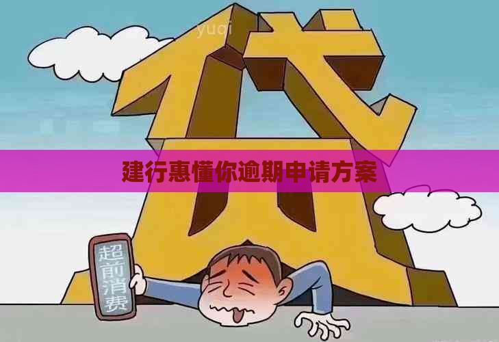 建行惠懂你逾期申请方案