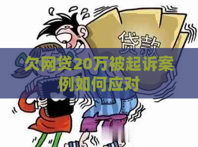 欠网贷20万被起诉案例如何应对