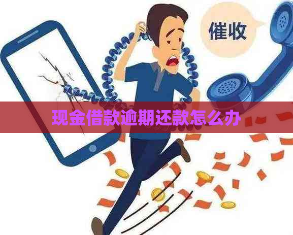 现金借款逾期还款怎么办