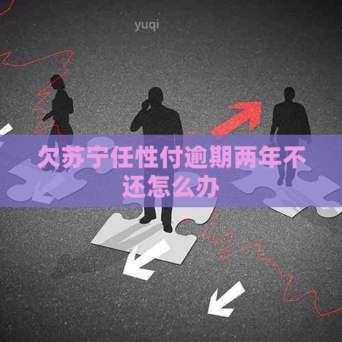 欠苏宁任性付逾期两年不还怎么办