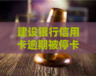 建设银行信用卡逾期被停卡应该怎么处理