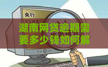 湖南网贷逾期需要多少钱如何解决