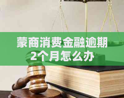 蒙商消费金融逾期2个月怎么办