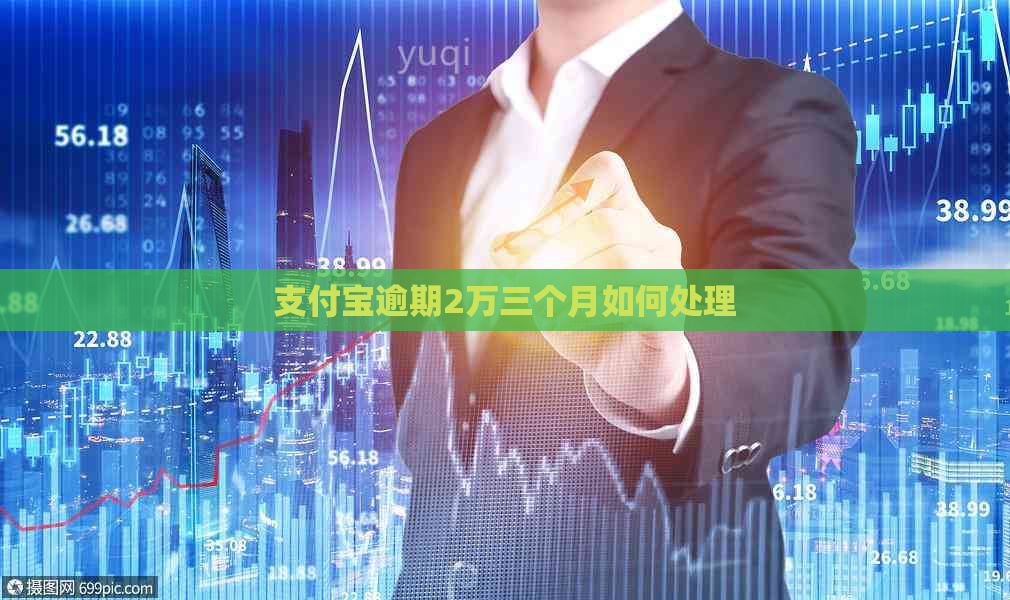 支付宝逾期2万三个月如何处理