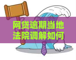 网贷逾期当地法院调解如何进行