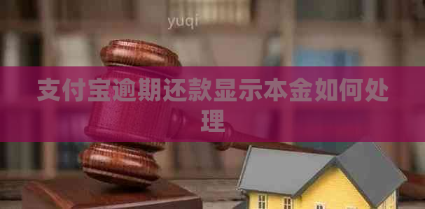 支付宝逾期还款显示本金如何处理