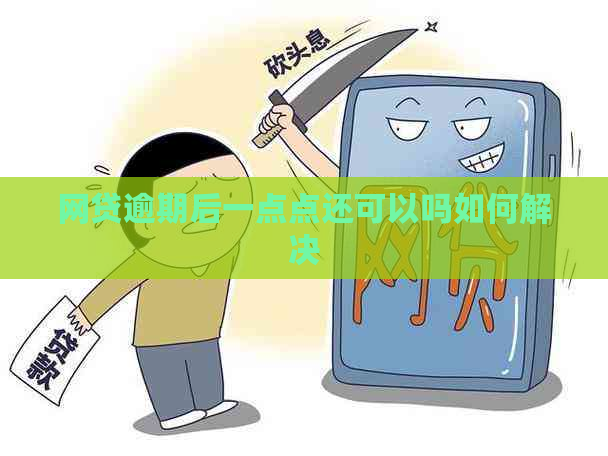 网贷逾期后一点点还可以吗如何解决