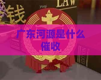 广东河源是什么