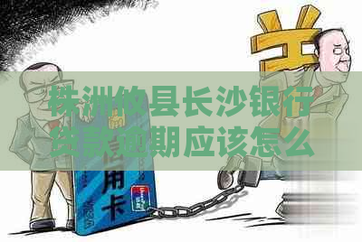 株洲攸县长沙银行贷款逾期应该怎么处理