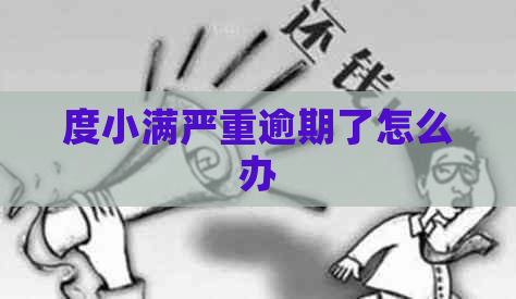 度小满严重逾期了怎么办