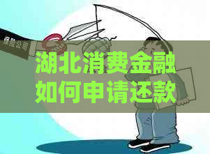 湖北消费金融如何申请还款延期