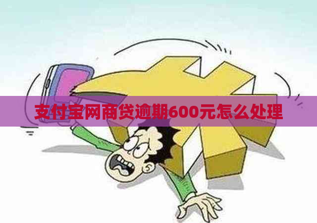 支付宝网商贷逾期600元怎么处理