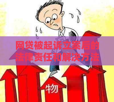 网贷被起诉立案后的法律责任和解决方法