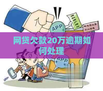 网贷欠款20万逾期如何处理