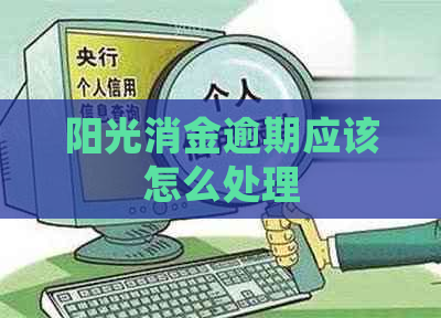 阳光消金逾期应该怎么处理