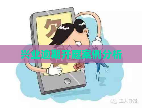 兴业逾期开庭案例分析