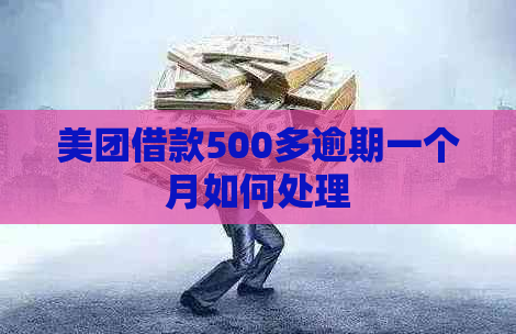 美团借款500多逾期一个月如何处理