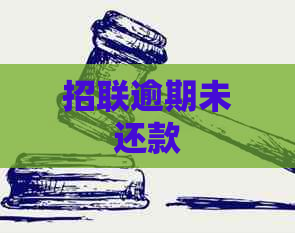 招联逾期未还款