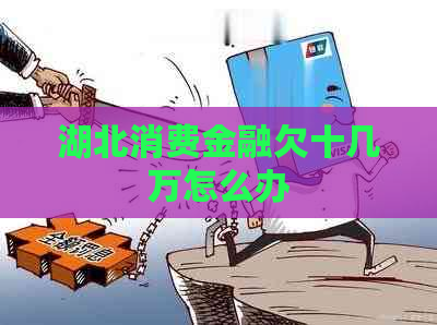 湖北消费金融欠十几万怎么办