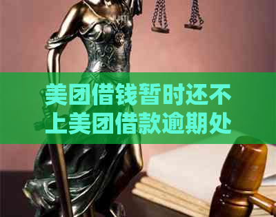 美团借钱暂时还不上美团借款逾期处理方式