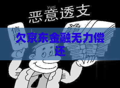 欠京东金融无力偿还