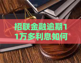 招联金融逾期11万多利息如何处理