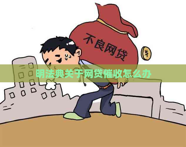 明法典关于网贷怎么办