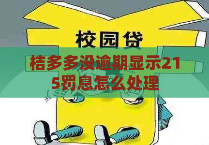 桔多多没逾期显示215罚息怎么处理